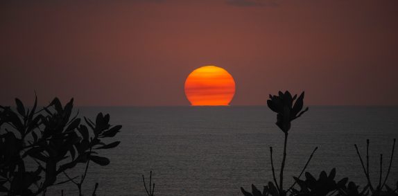 bushfire smoke australia