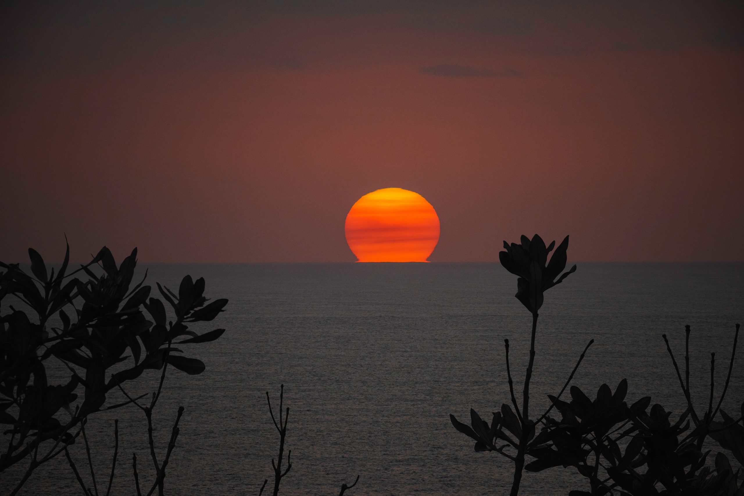 bushfire smoke australia